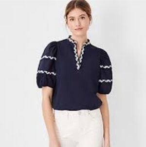 Ann Taylor Puffy Sleeve Embroidered Blouse E U C